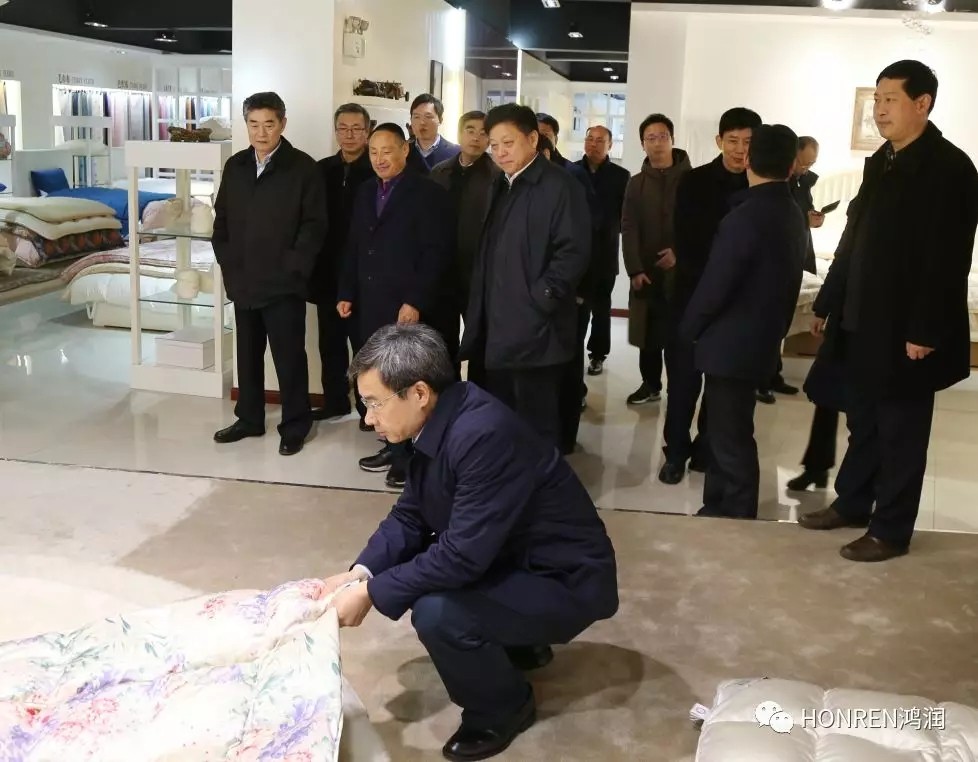安徽省委常委、常務(wù)副省長鄧向陽到鴻潤視察