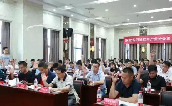 安徽省羽絨皮草產(chǎn)業(yè)協(xié)會(huì)成立，夏吉國(guó)總裁任第一屆理事會(huì)顧問(wèn)